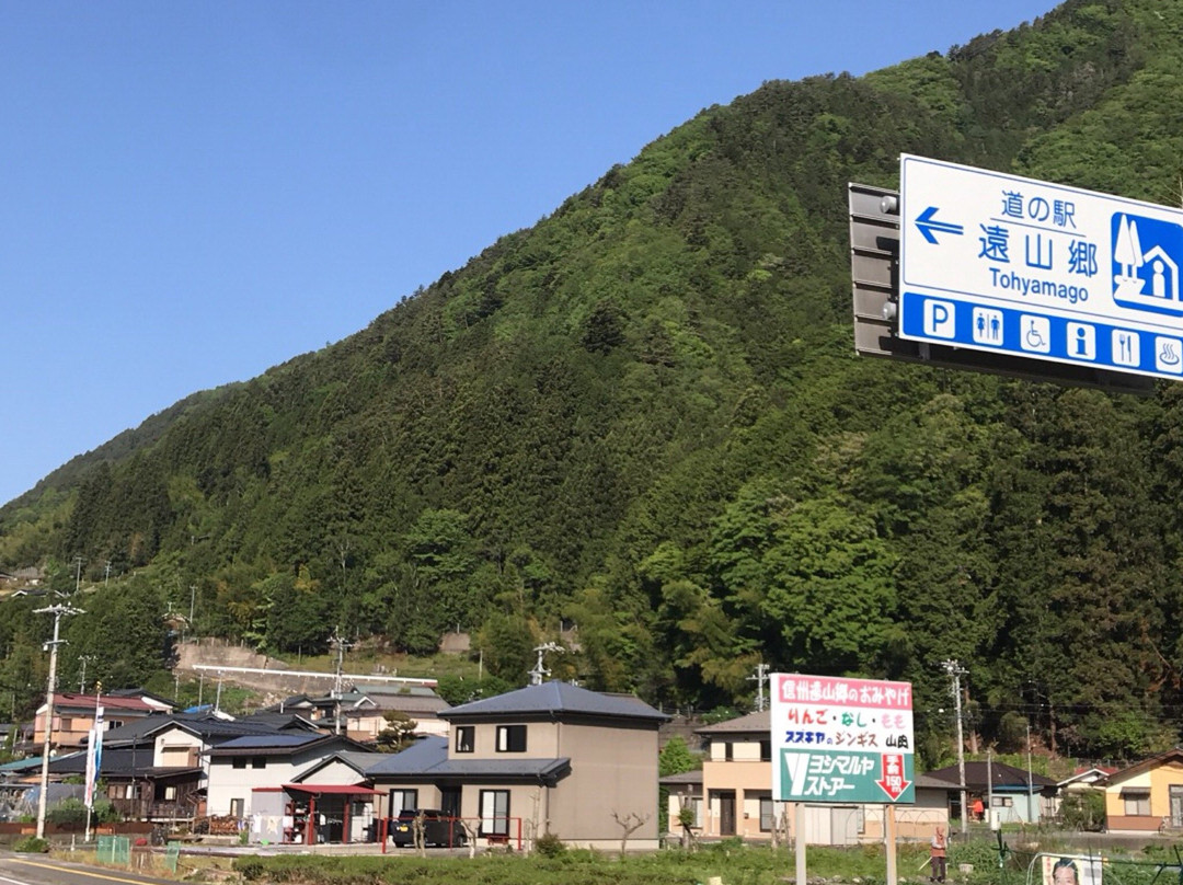 Michi-no-Eki Toyamago景点图片