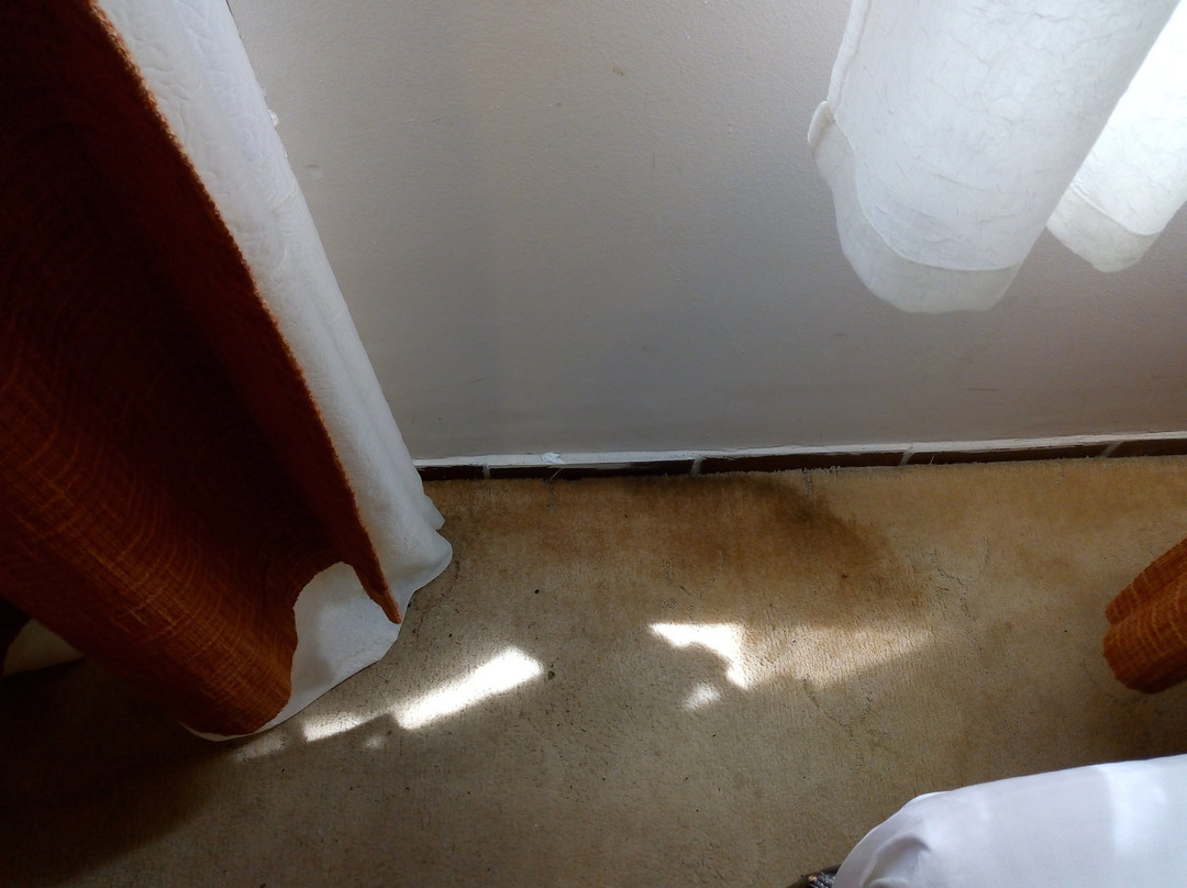 Garni Hotel Park主图