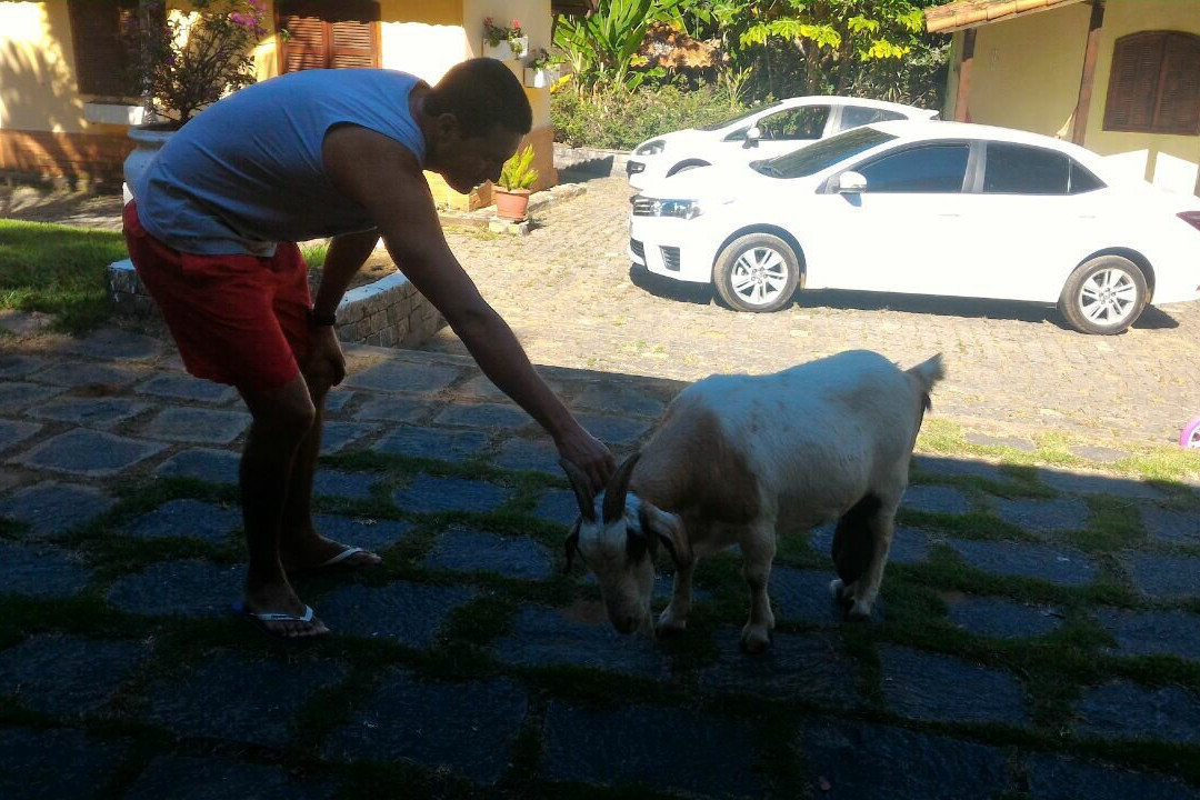 Hotel Fazenda Folhas Verdes主图