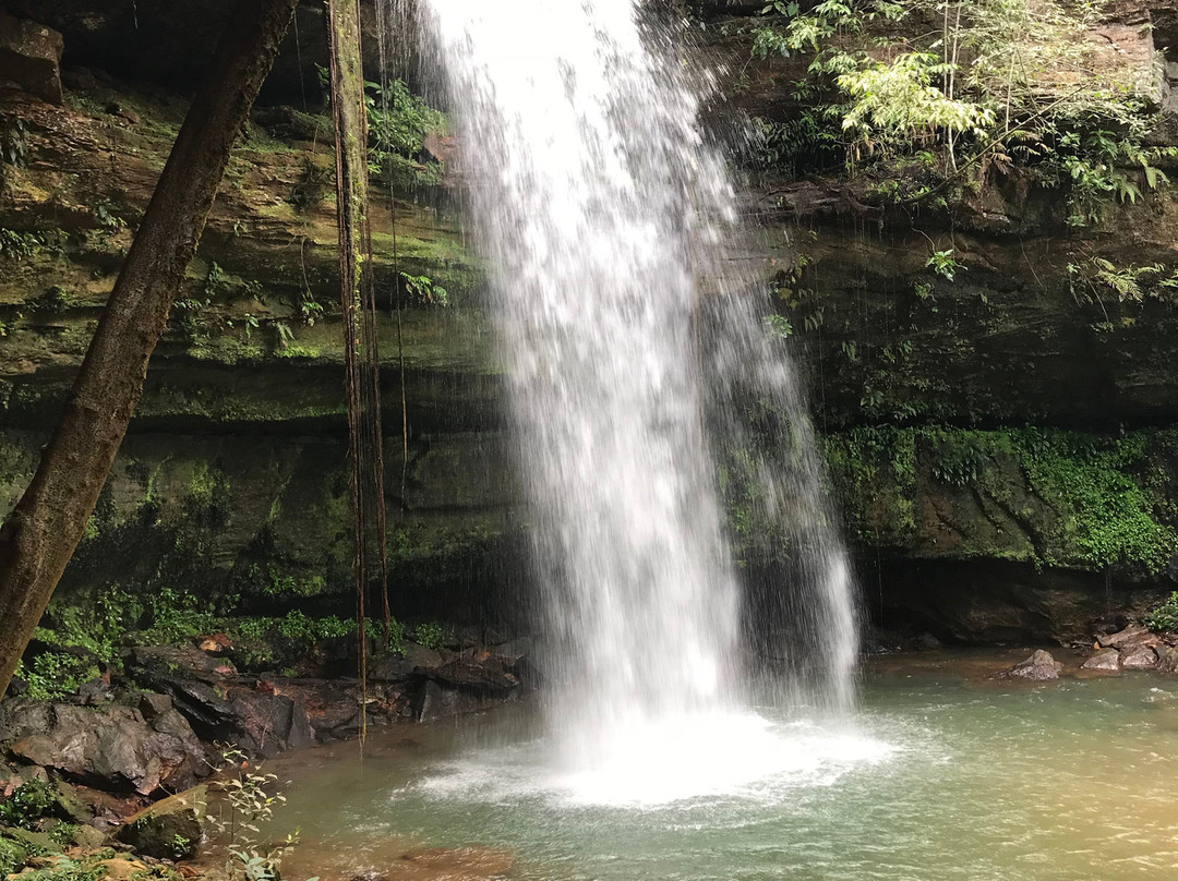 Fazenda Encantada Waterfall-Palmas必去景点