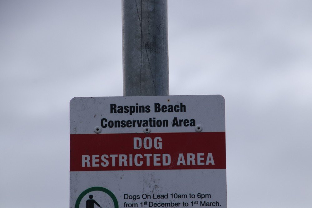 Raspins Beach景点图片