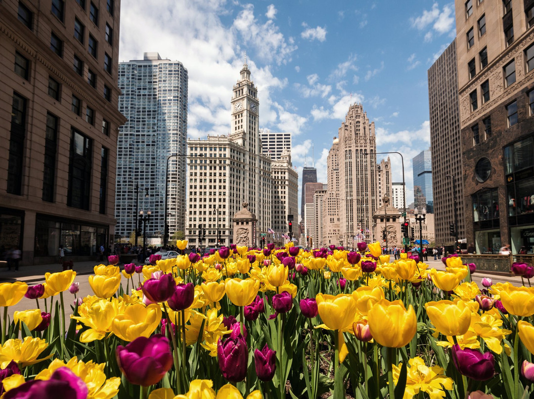 壮丽大道-芝加哥必去景点