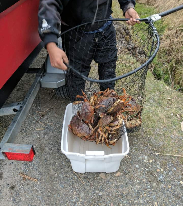 Sea Raven Motel主图