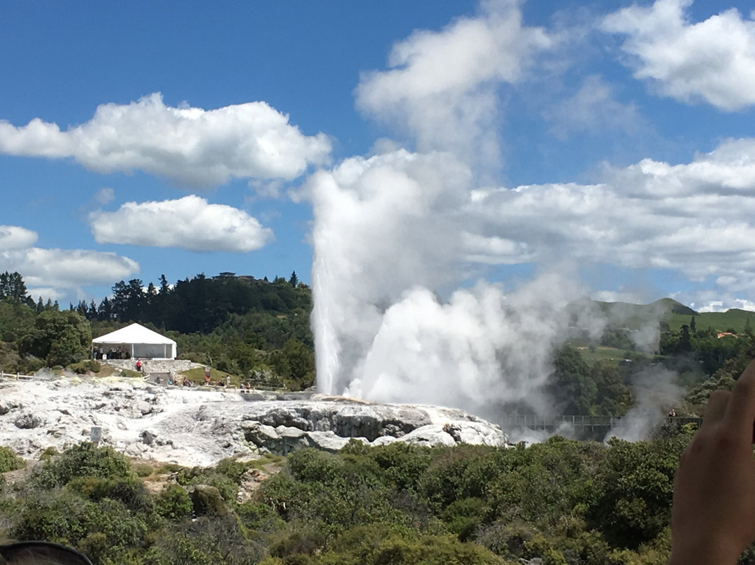 Taupo Private Tours and Transfers景点图片