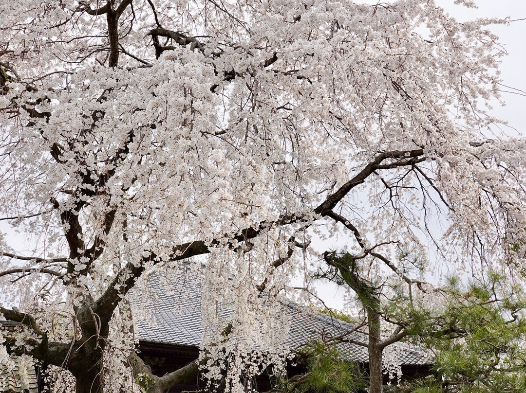 Sanmyoji Temple-丰川市必去景点