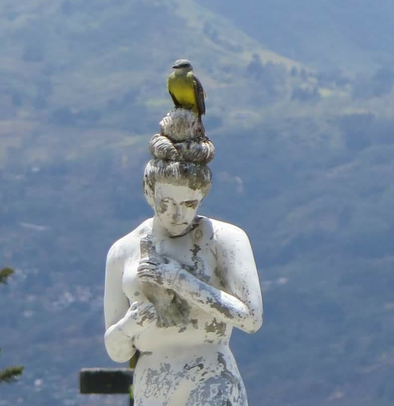 Cementerio de Obreros景点图片