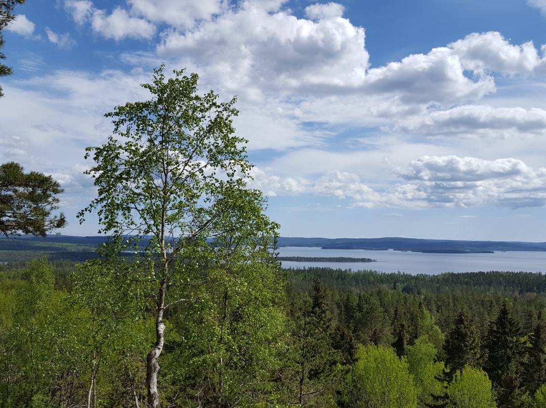 Glaskogens Naturreservat-Arvika必去景点