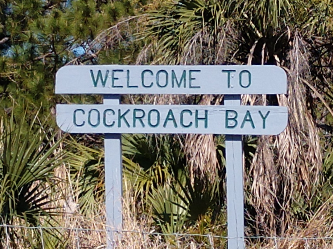 Cockroach Bay Aquatic Preserve景点图片