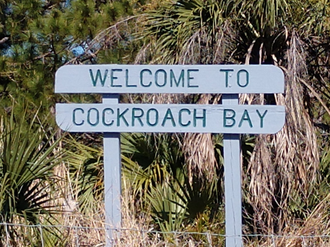 Cockroach Bay Aquatic Preserve-Ruskin必去景点