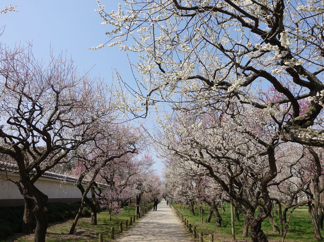 Kodokan Park-水户市必去景点
