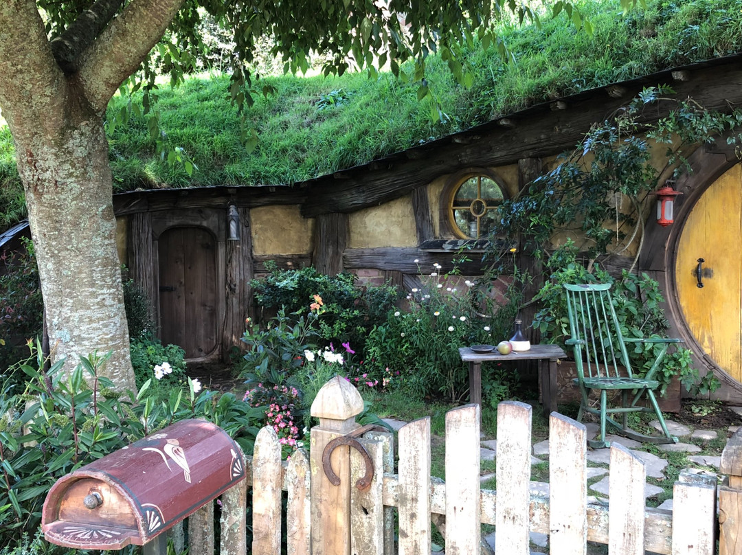 Cruise Tours to Hobbiton And Rotorua景点图片