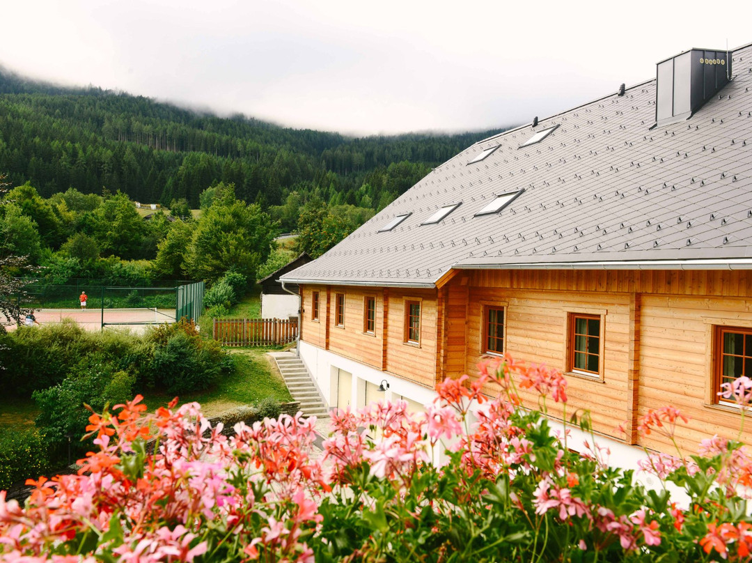 Stranachwirt Apartments