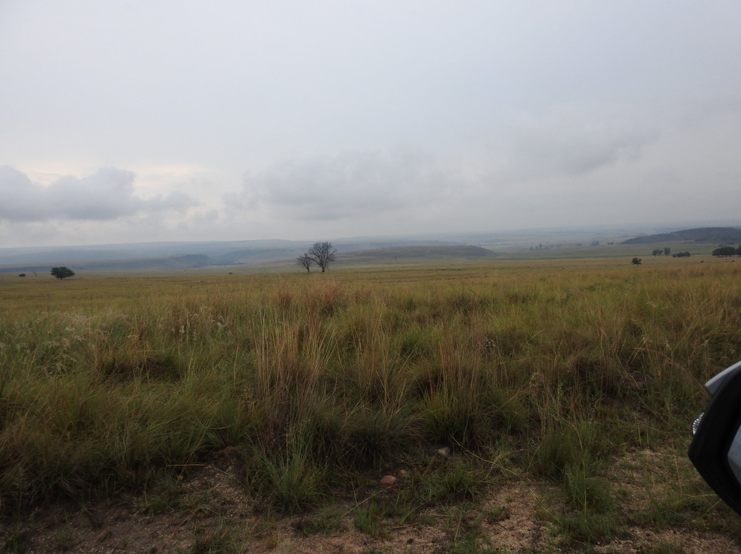 Ezemvelo Nature Reserve主图