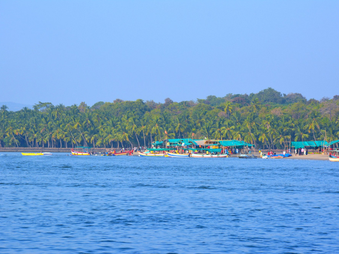 Tsunami Island Vengurla景点图片