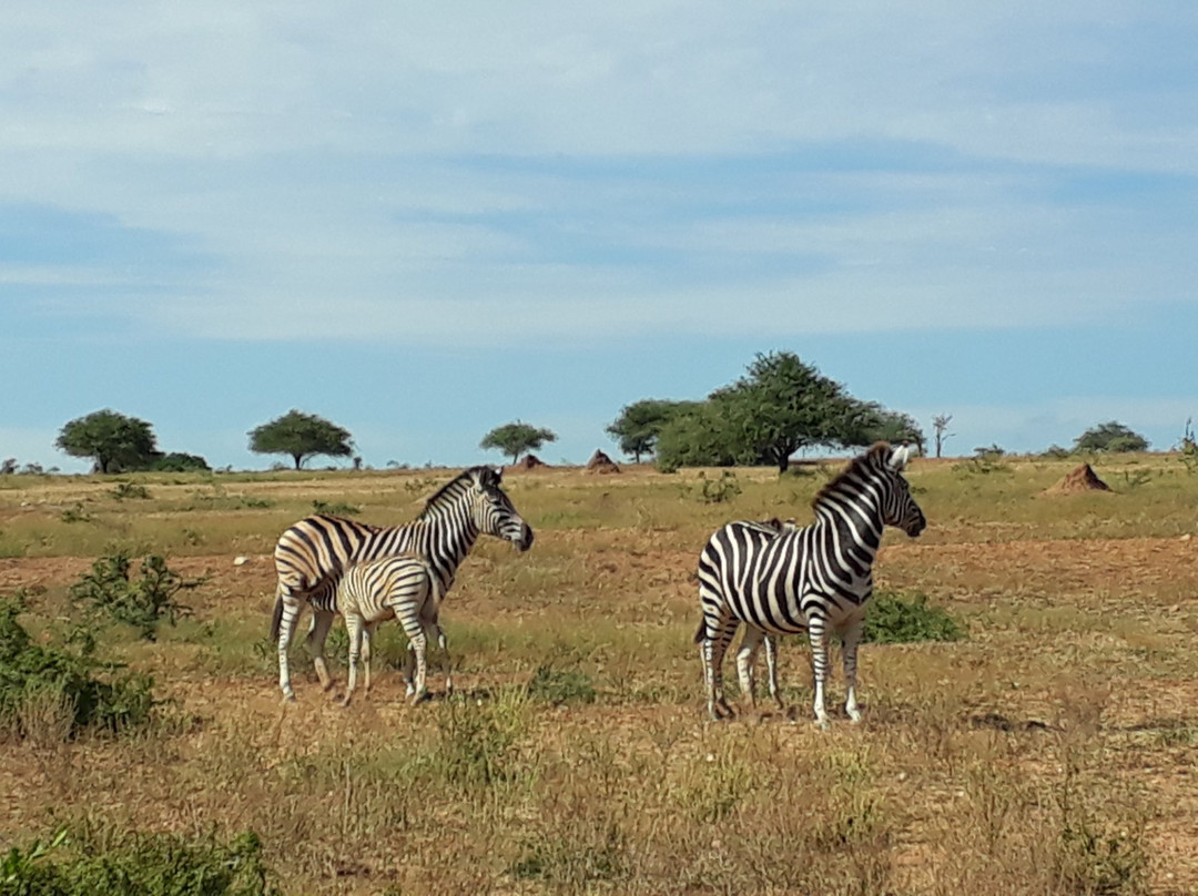 卡帕玛河山林小屋主图