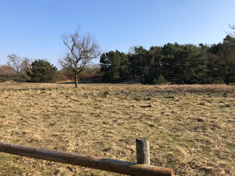 Schwanheimer Düne-法兰克福必去景点