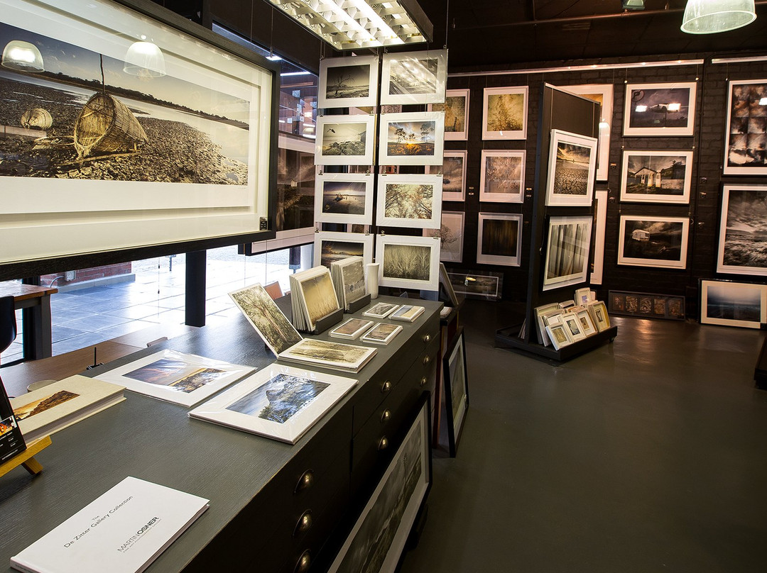 Osner Art Gallery-Green Point必去景点