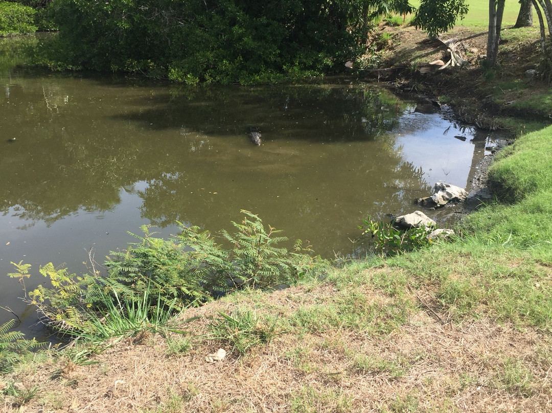 Campo de Golf Ixtapa-印坦巴/芝华塔尼欧必去景点