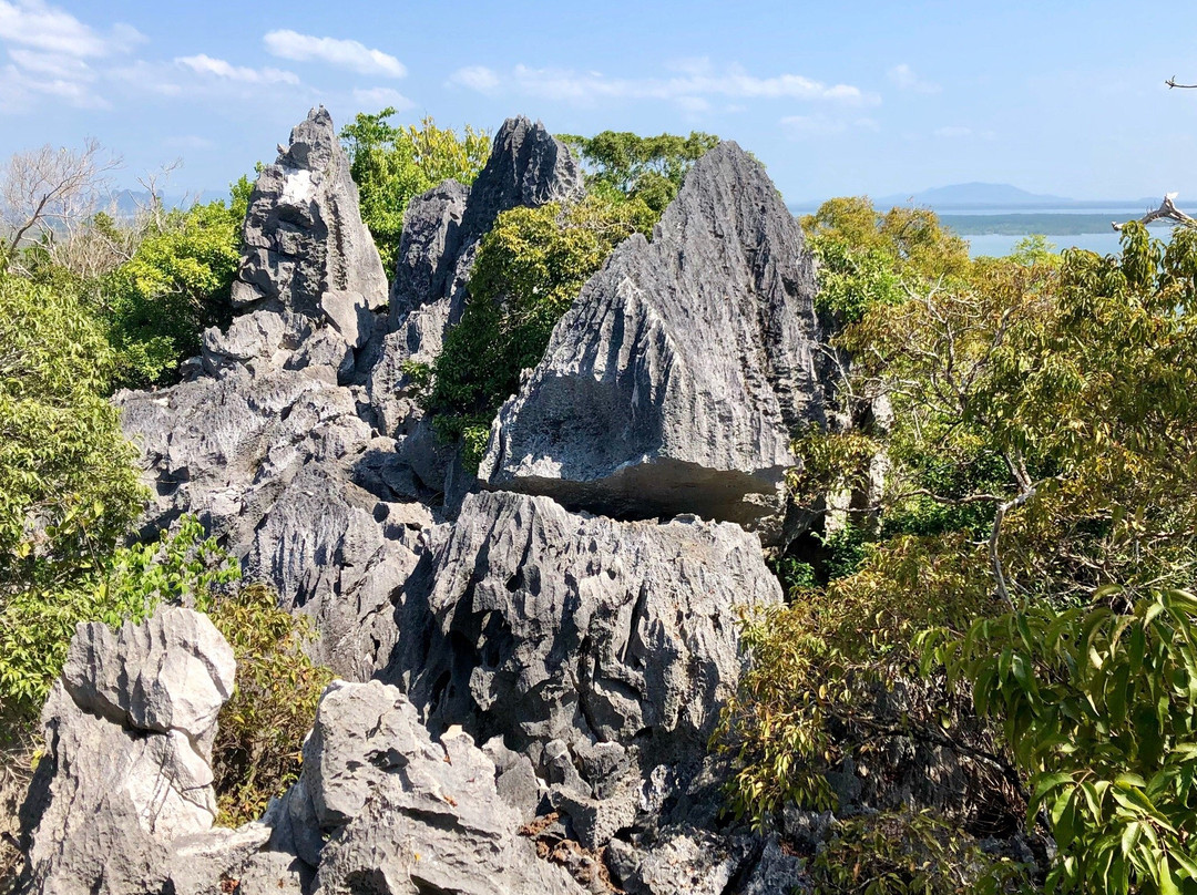 Point Dugong景点图片