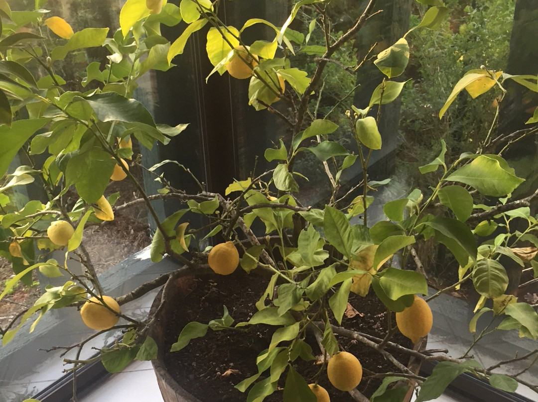 Hotel les Rives de L'avance主图