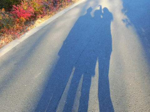 康健园-上海市必去景点