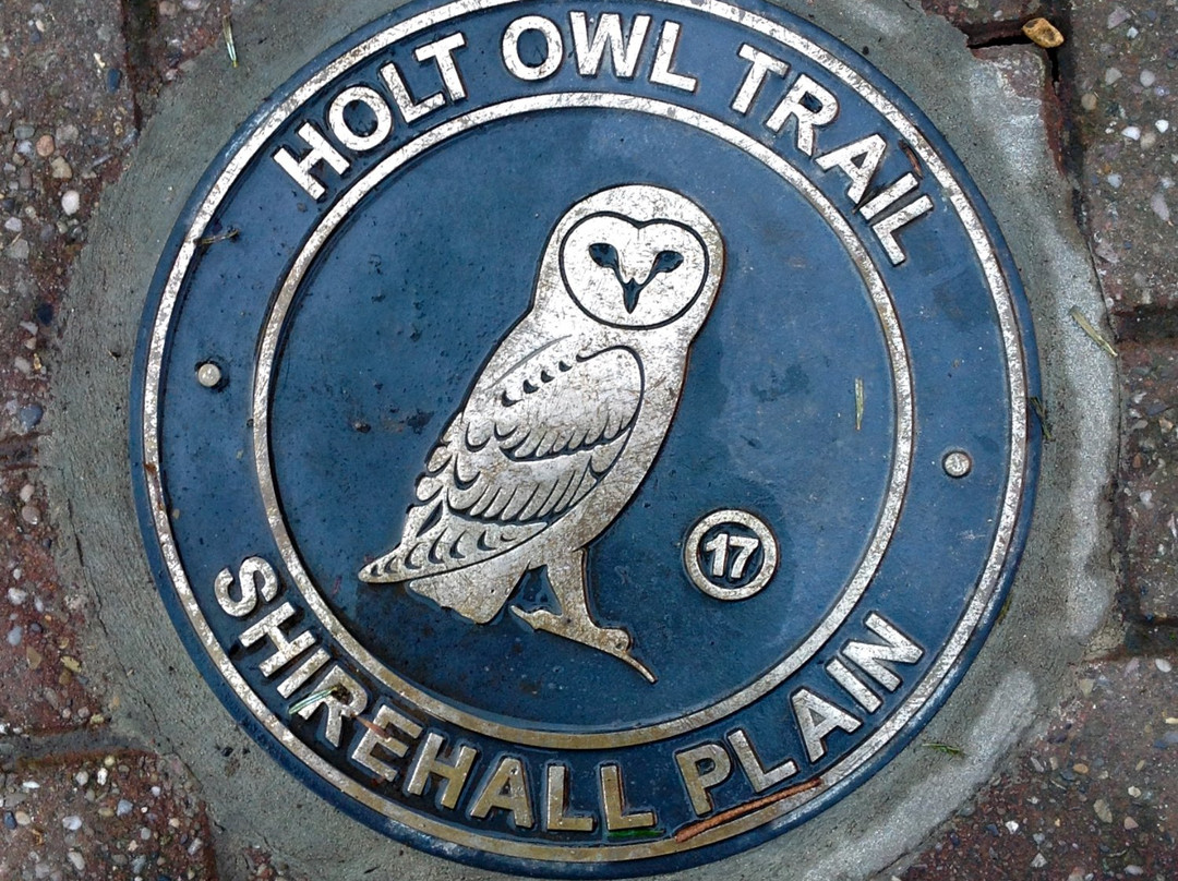 Holt Owl Trail景点图片