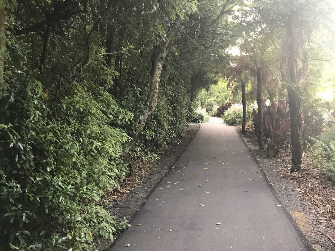 Manawatu River Pathway景点图片