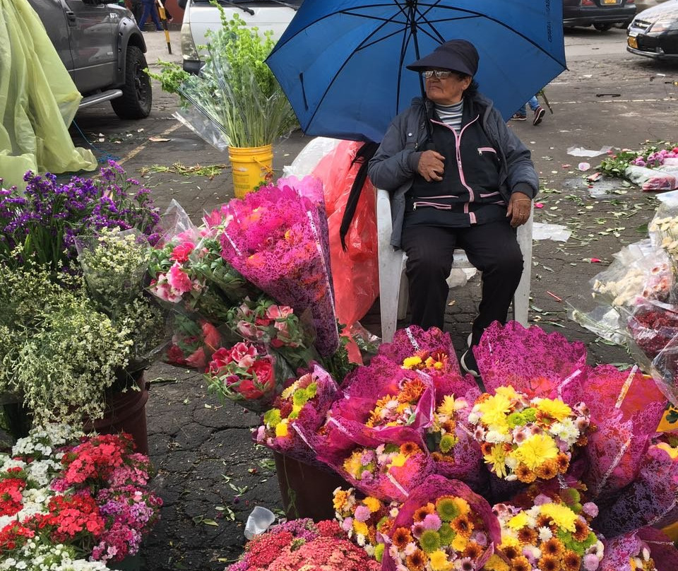 Chasing Plazas-波哥大必去景点