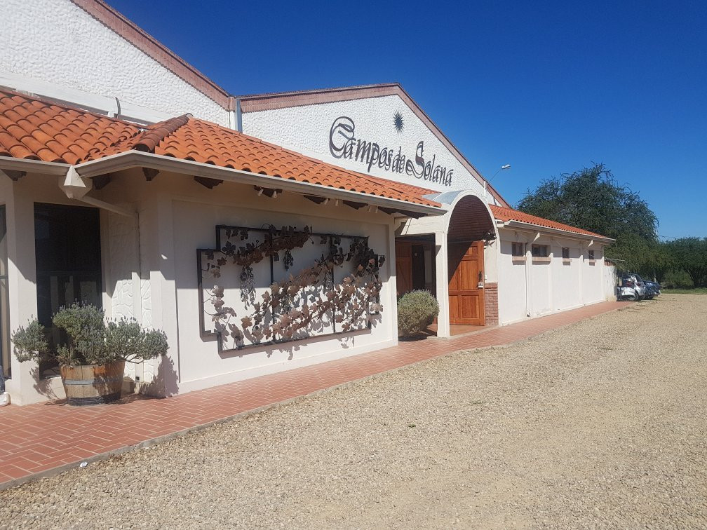 Bodega Campos de Solana-塔里哈必去景点