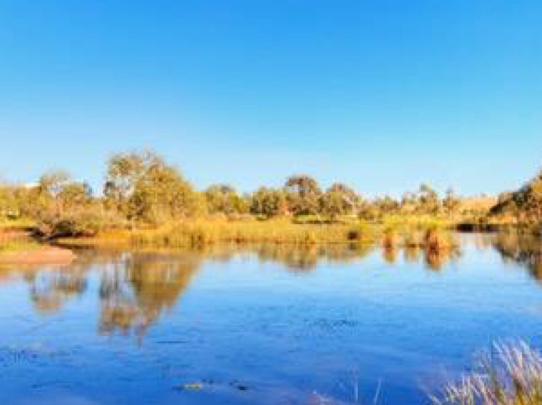 Hendersons Creek Wetlands-South Morang必去景点