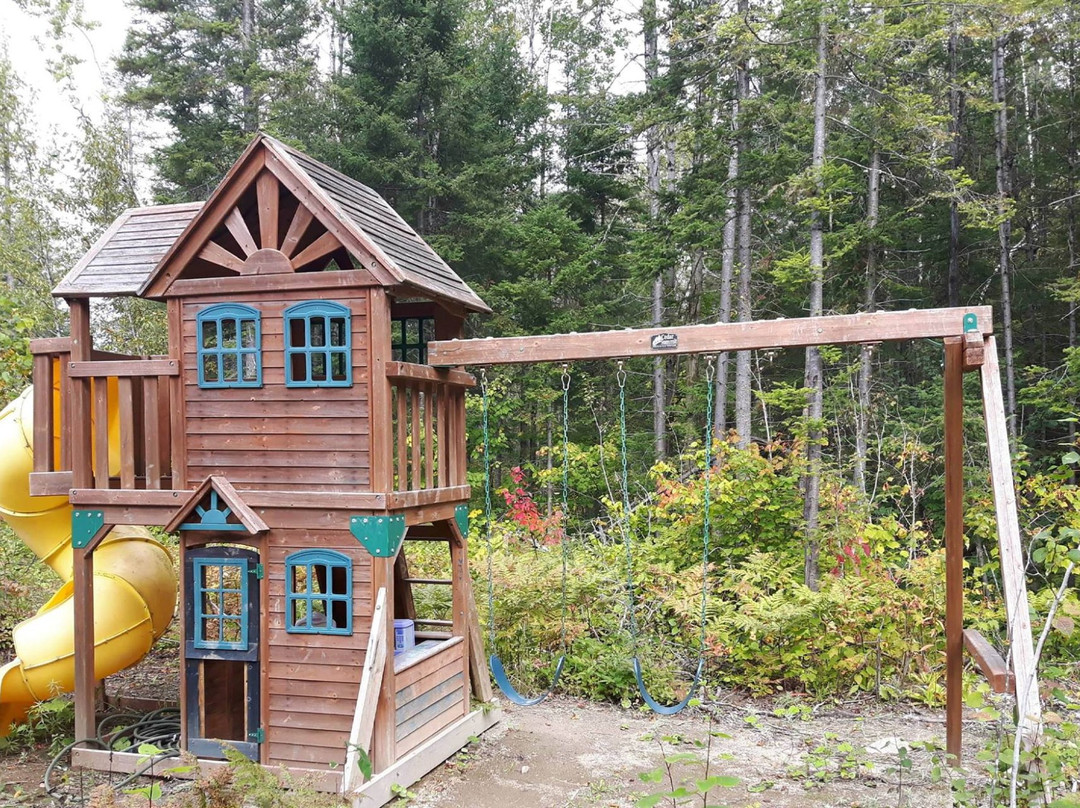 Gite A la Voute Étoilee主图