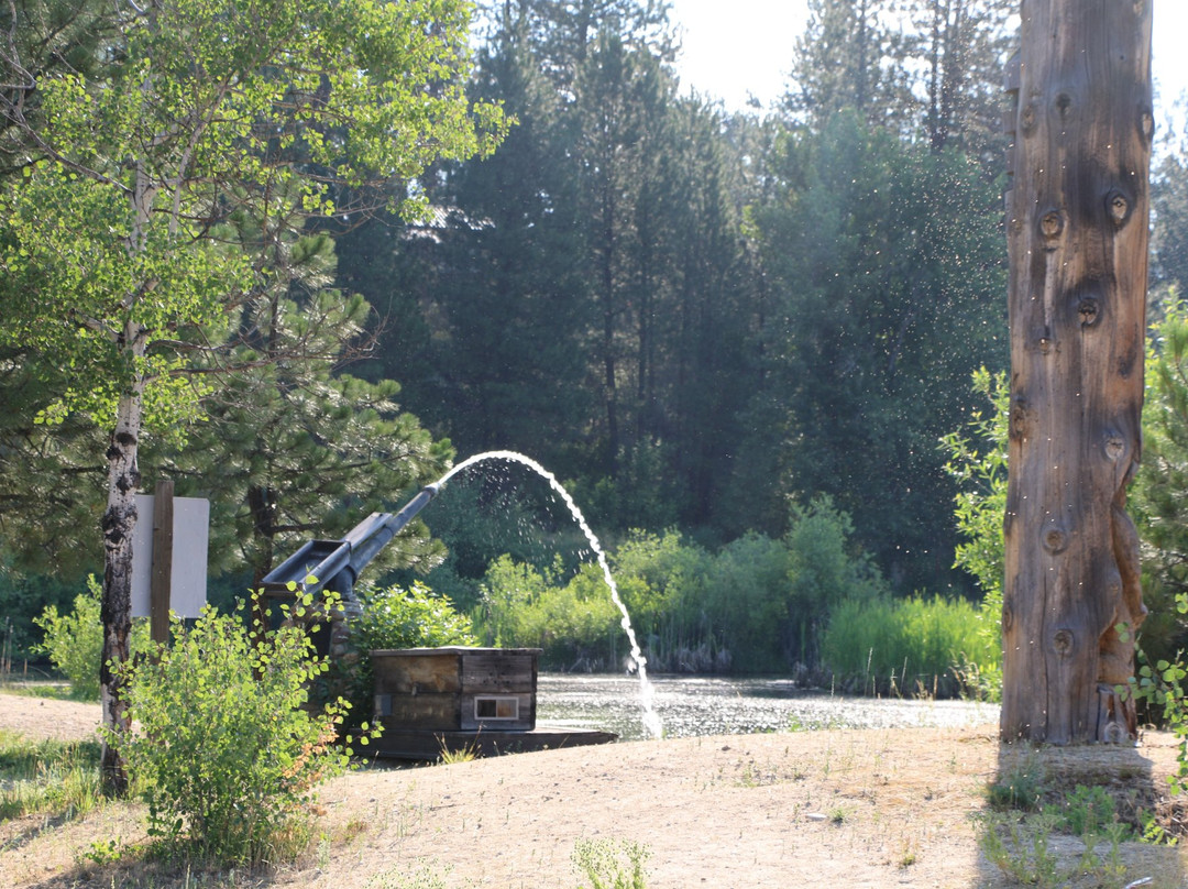 Idaho City Visitors Center景点图片