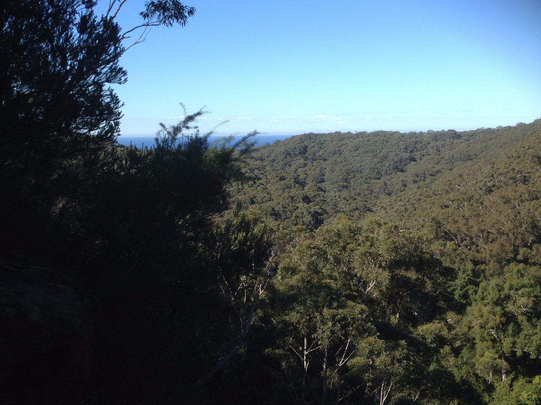 Kellys Falls Track-海伦斯堡必去景点