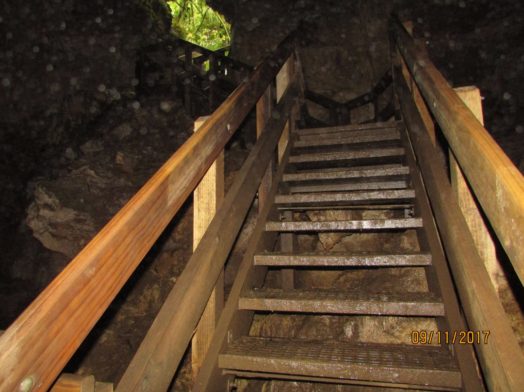 Piripiri Cave Walk-怀托摩洞穴必去景点