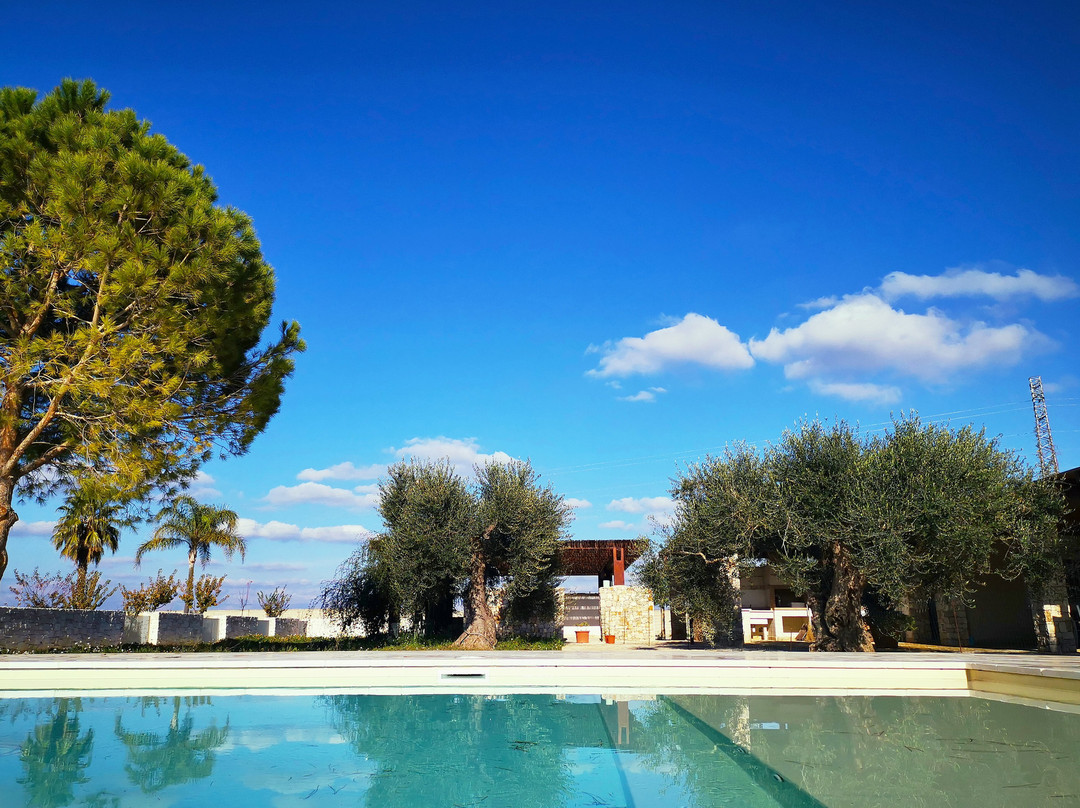 Agriturismo TorreBianca