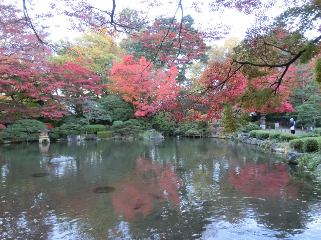Momiji Park景点图片