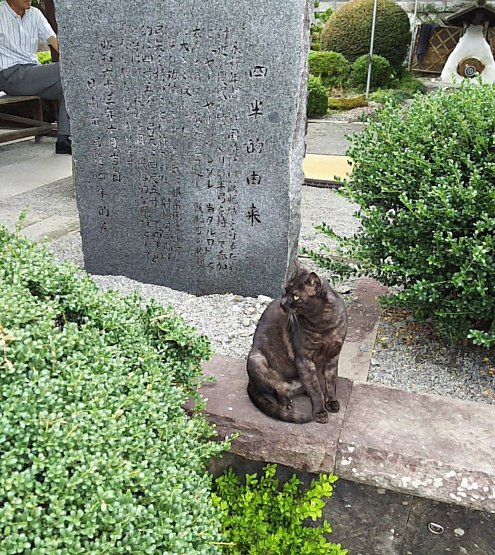 Shihan Matoshajo-日南市必去景点