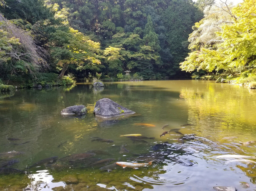 成田市旅游攻略图片