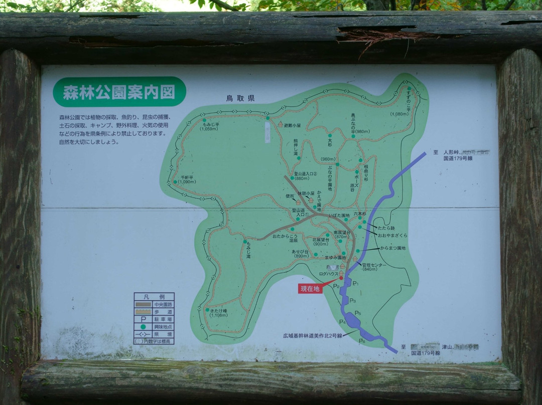 Okayama Forest Park景点图片