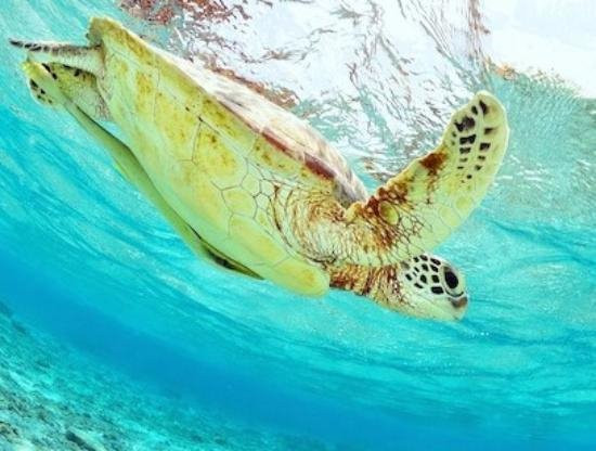 Leo Trekking Rinjani-Senaru必去景点