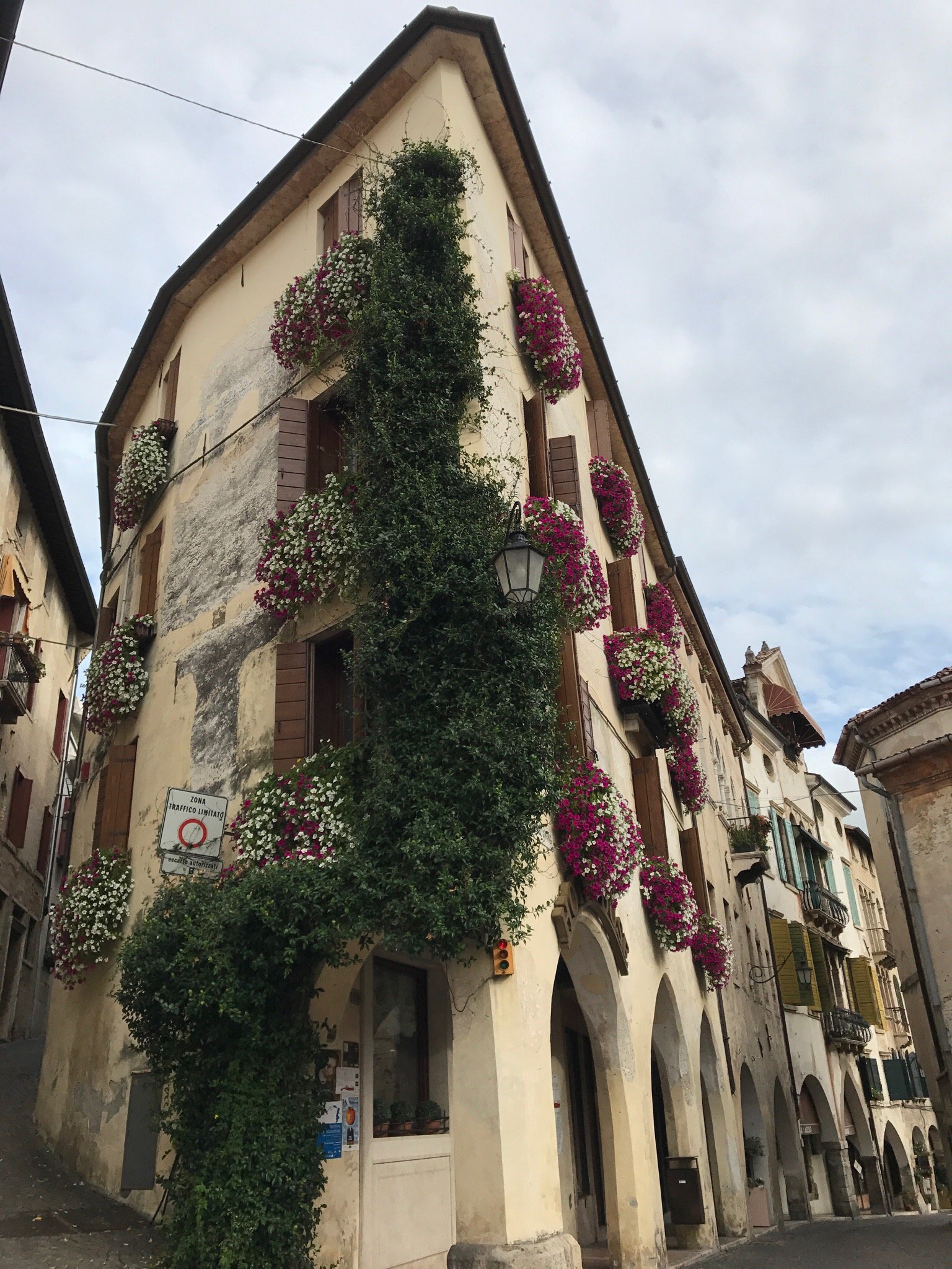 Hotel Duse-官方