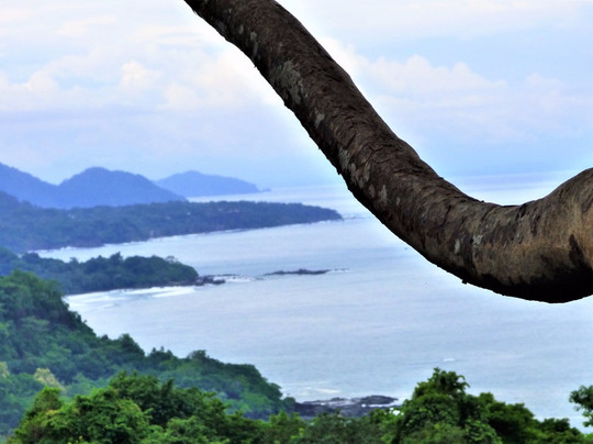 Costa Rica Surf and Adventure-圣特雷莎必去景点