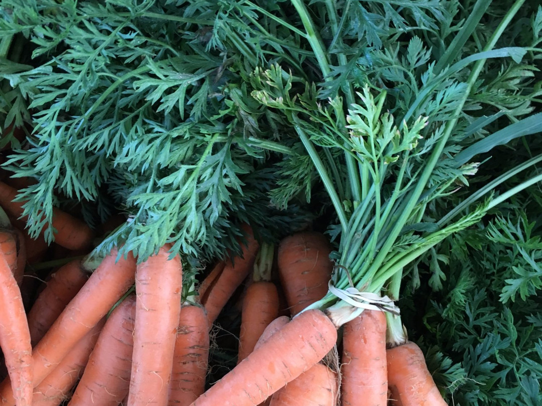 Foothills Farmers' Market景点图片