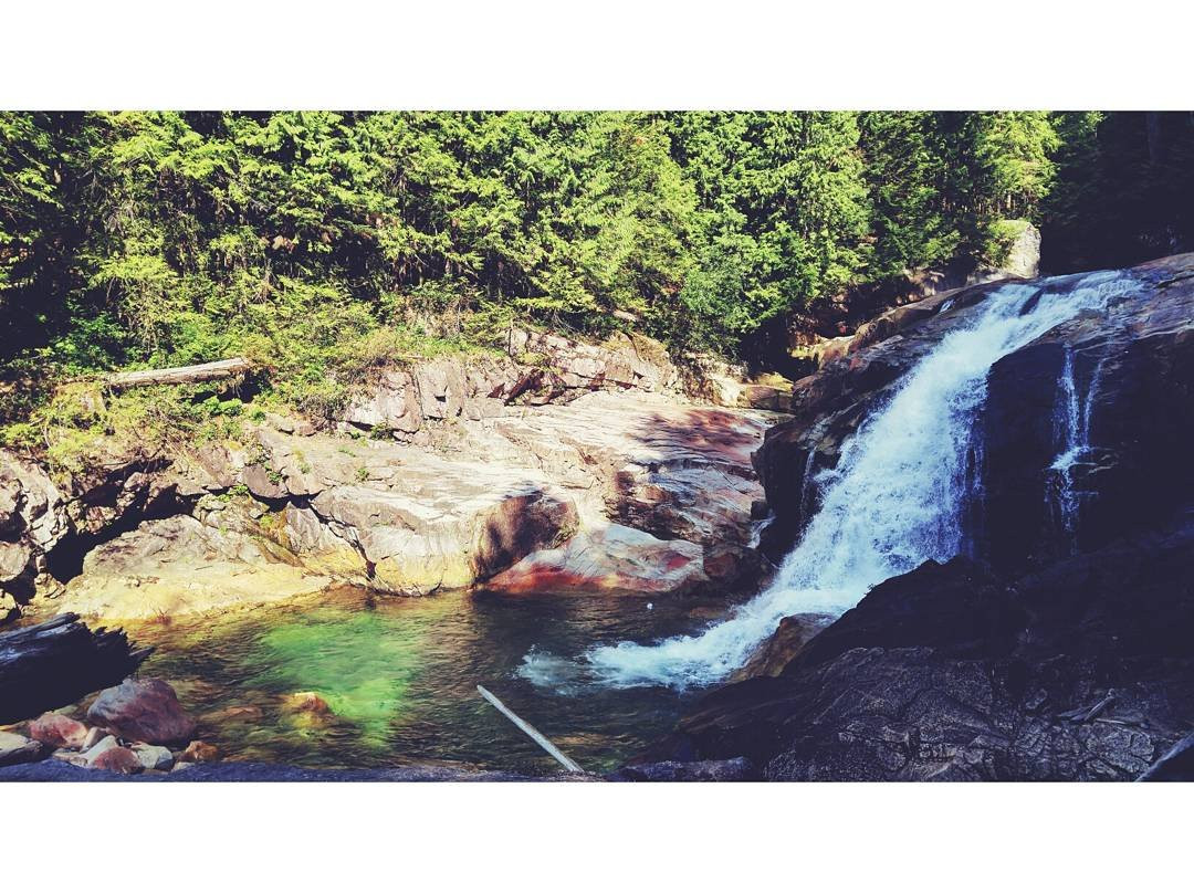 Lower Falls Trail-枫树岭必去景点
