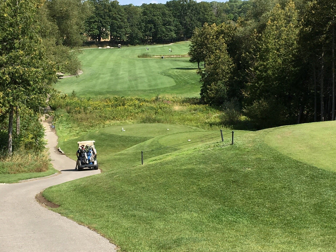 Tangle Creek Golf & Country Club景点图片