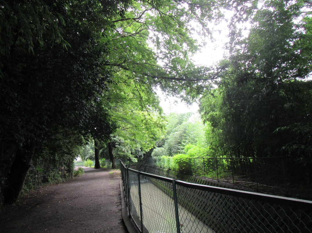 Former Mekujiri River Furusato Pedestrian Path-寒川町必去景点