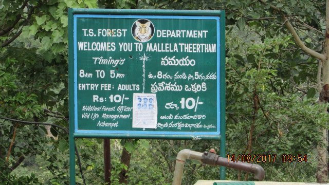 Mallela Theertham Waterfalls景点图片