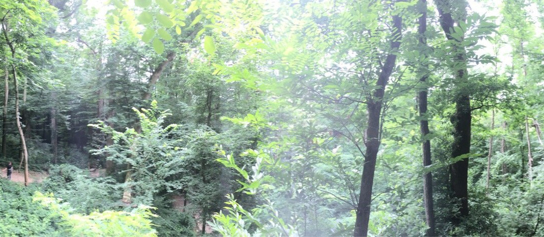 Yapluka Park-Ruy必去景点