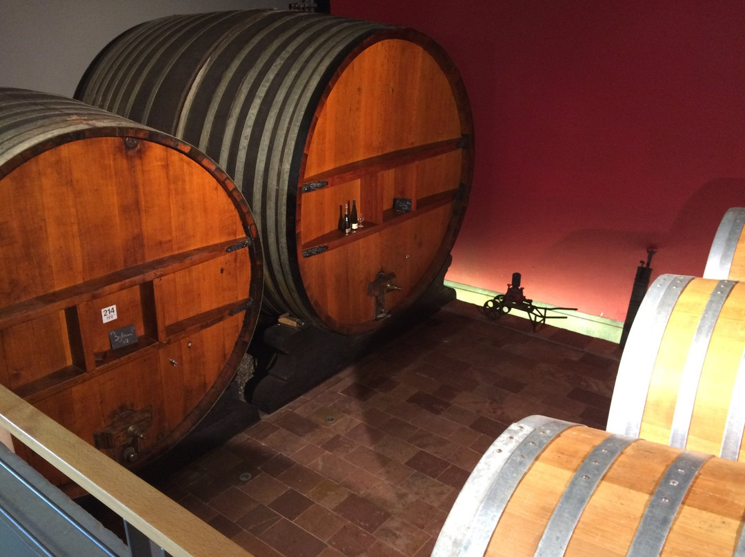 Vignoble Jean Geiler景点图片