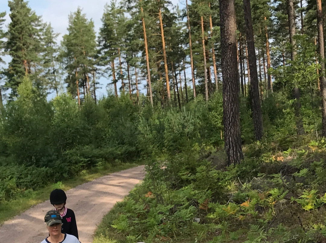 Eriksgården-Vimmerby必去景点
